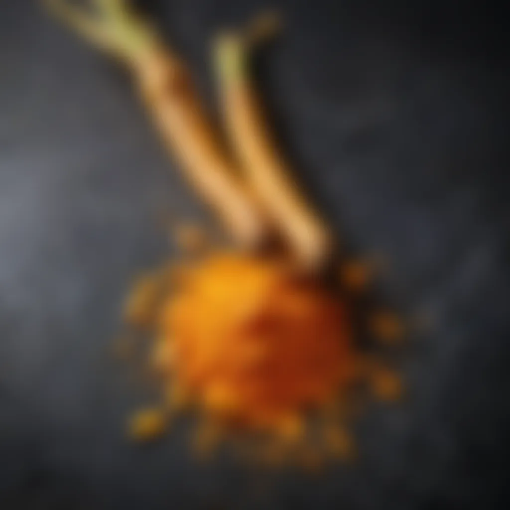 Vibrant yellow turmeric root on a slate background